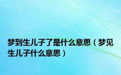梦到生儿子了是什么意思（梦见生儿子什么意思）