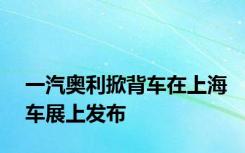 一汽奥利掀背车在上海车展上发布