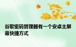 谷歌密码管理器有一个安卓主屏幕快捷方式
