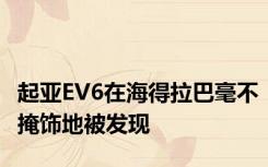 起亚EV6在海得拉巴毫不掩饰地被发现