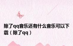 除了qq音乐还有什么音乐可以下载（除了qq）