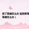 得了胃病怎么办 如何养胃（得了胃病怎么办）