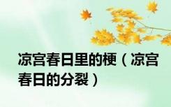 凉宫春日里的梗（凉宫春日的分裂）