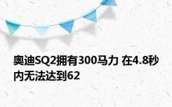 奥迪SQ2拥有300马力 在4.8秒内无法达到62