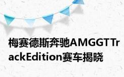 梅赛德斯奔驰AMGGTTrackEdition赛车揭晓