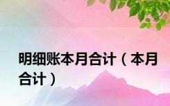 明细账本月合计（本月合计）