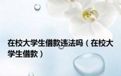 在校大学生借款违法吗（在校大学生借款）