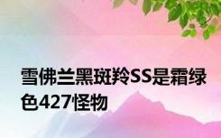 雪佛兰黑斑羚SS是霜绿色427怪物
