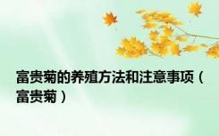富贵菊的养殖方法和注意事项（富贵菊）