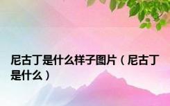 尼古丁是什么样子图片（尼古丁是什么）