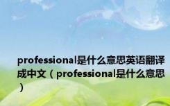 professional是什么意思英语翻译成中文（professional是什么意思）