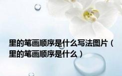 里的笔画顺序是什么写法图片（里的笔画顺序是什么）