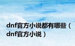dnf官方小说都有哪些（dnf官方小说）