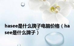 hasee是什么牌子电脑价格（hasee是什么牌子）
