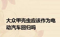 大众甲壳虫应该作为电动汽车回归吗
