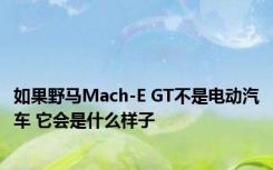 如果野马Mach-E GT不是电动汽车 它会是什么样子