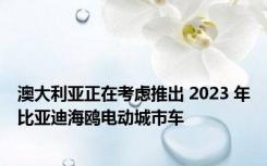 澳大利亚正在考虑推出 2023 年比亚迪海鸥电动城市车