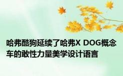 哈弗酷狗延续了哈弗X DOG概念车的敢性力量美学设计语言