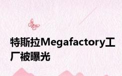 特斯拉Megafactory工厂被曝光