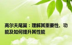 高尔夫尾翼：理解其重要性、功能及如何提升其性能