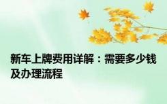 新车上牌费用详解：需要多少钱及办理流程