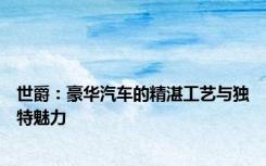 世爵：豪华汽车的精湛工艺与独特魅力