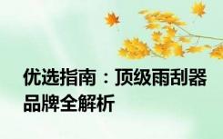 优选指南：顶级雨刮器品牌全解析