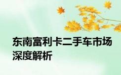 东南富利卡二手车市场深度解析