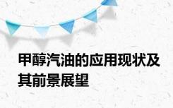 甲醇汽油的应用现状及其前景展望