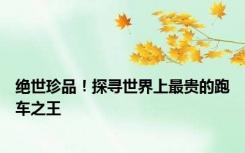 绝世珍品！探寻世界上最贵的跑车之王
