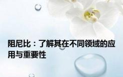 阻尼比：了解其在不同领域的应用与重要性