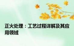 正火处理：工艺过程详解及其应用领域