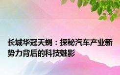 长城华冠天蝎：探秘汽车产业新势力背后的科技魅影