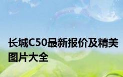 长城C50最新报价及精美图片大全