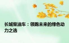 长城柴油车：领跑未来的绿色动力之选